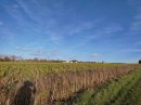 GR13, sud-ouest de St-Georges